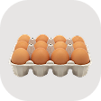 Brown Eggs