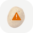 Potato